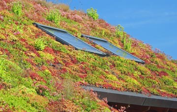 Shipton Oliffe living roof systems