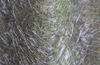 Shipton Oliffe fibreglass roof work